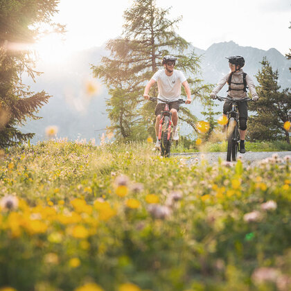 Two people are riding bicycles along a path through a field full of yellow wildflowers. Trees and mountains are in the background while sunlight streams through.