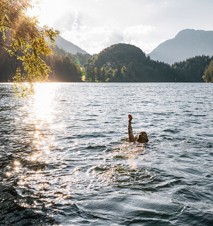 Eine Person, die in einem See schwimmt und einen Arm über das Wasser hebt, während sich das Sonnenlicht auf dem Wasser spiegelt und im Hintergrund bewaldete Berge zu sehen sind.