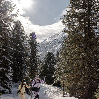 Two people in winter clothing are hiking along a snow-covered forest path in brilliant sunshine, surrounded by tall stone pine trees and mountains in the background.