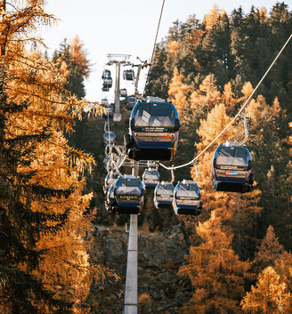 Blue gondola cabins travel up through a forest in autumnal colors. The sky is clear and the sunlight makes the golden foliage glow.