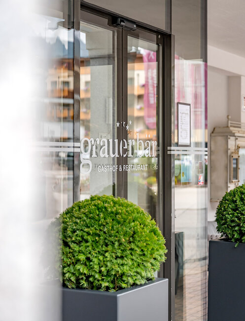 Hotel entrance door with the inscription "Grauer Bär", flanked by green potted plants, with buildings reflected in the glass.