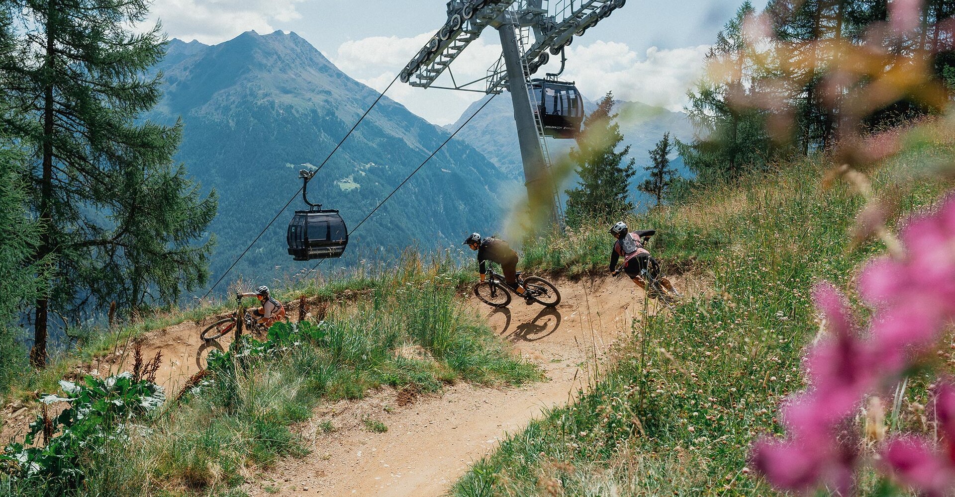 Three people are riding mountain bikes along a path through grassy hills. There are trees, a mountain and gondola cabins in the background. Pink wildflowers are blooming in the foreground.