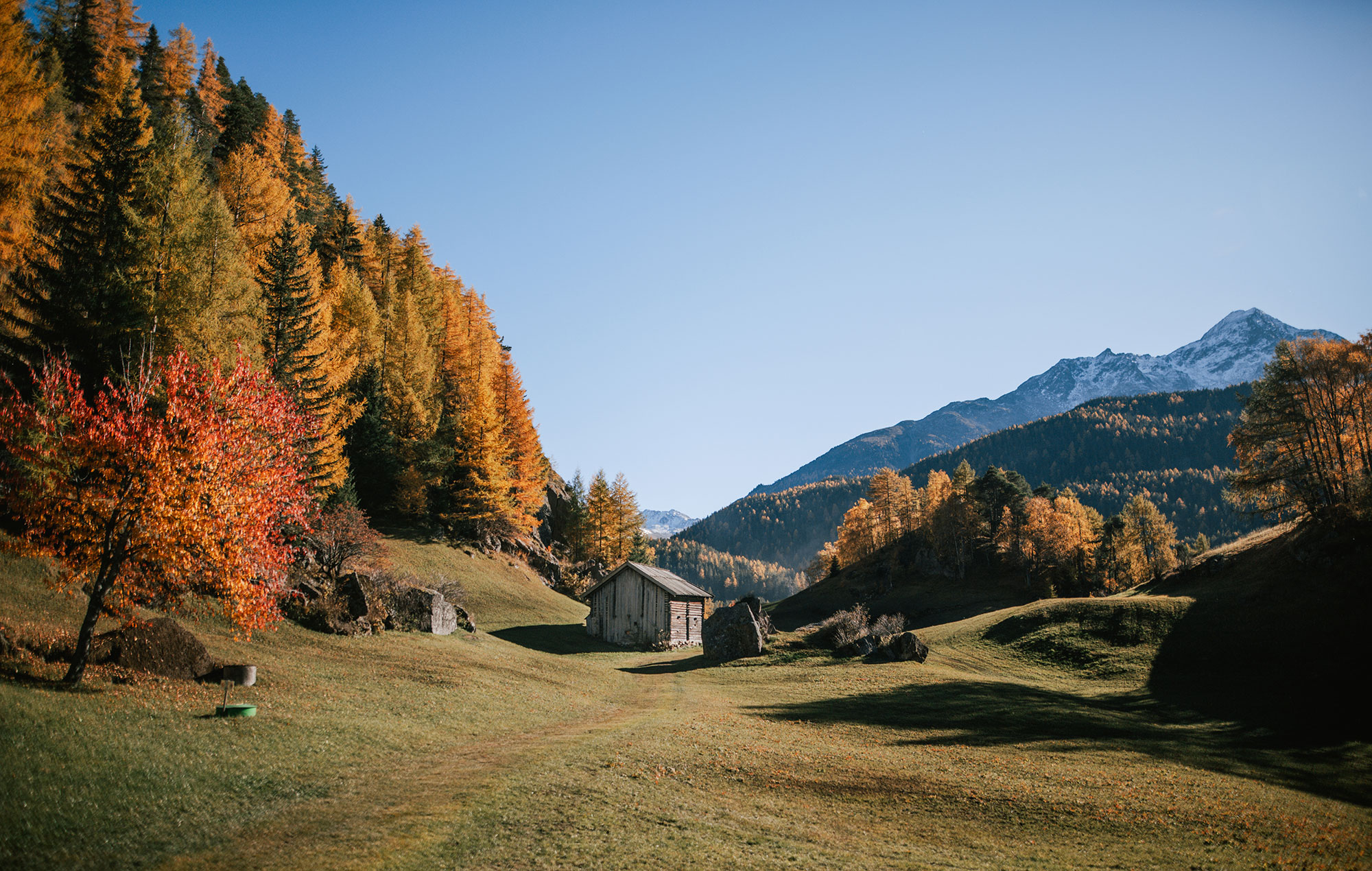 In a grassy valley, surrounded by autumn-colored trees, stands a small wooden hut with a snow-capped mountain rising under a bright blue sky in the background.