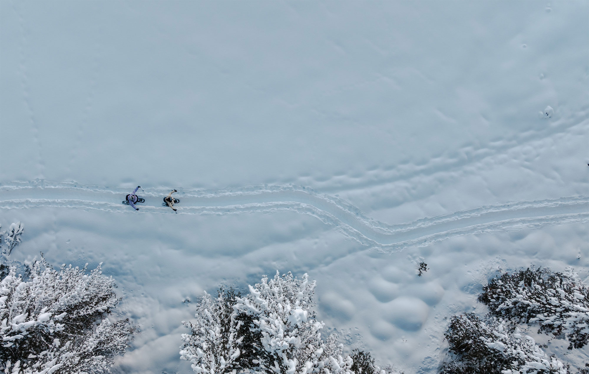 Aerial view of two people snowshoeing on snow-covered ground, leaving tracks behind. Snow-covered trees are at the bottom of the image.